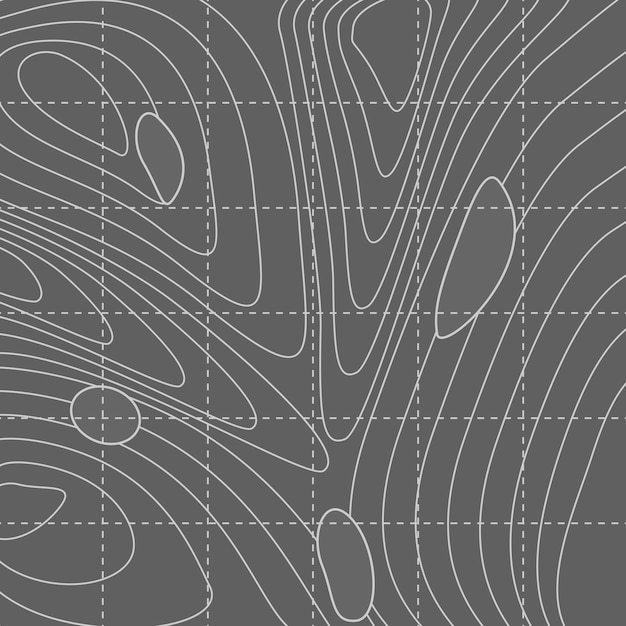 Carte De Lignes De Contour Abstraites Blanches Et Grises