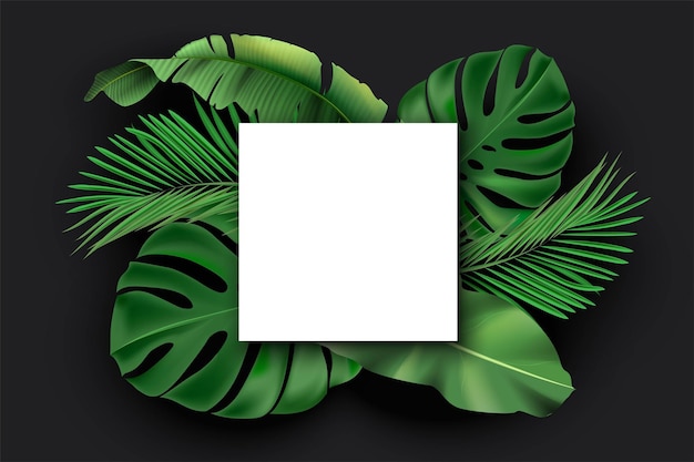 Carte vierge carrée blanche avec des feuilles de jungle exotique vert sur fond noir Monstera philodendron fan palm feuille de bananier areca palm avec affiche