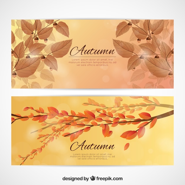 Cartes D'automne Réalistes Avec Des Feuilles Et Des Branches