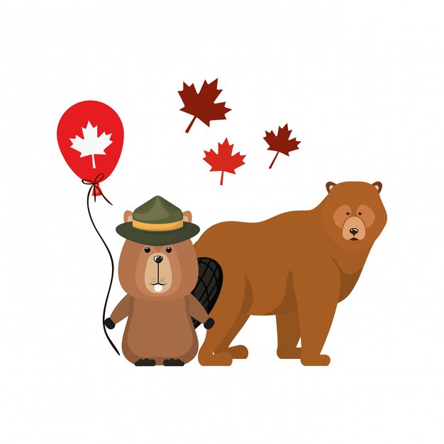 Castor et ours animal du canada