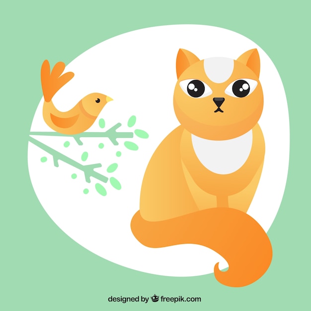 Cat Et Illustration Oiseau