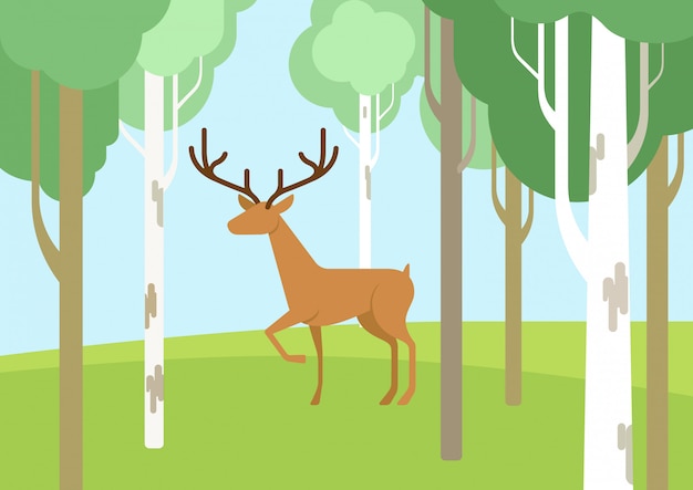 Vecteur gratuit cerf dans la forêt de bouleaux dessin animé design plat animaux sauvages.