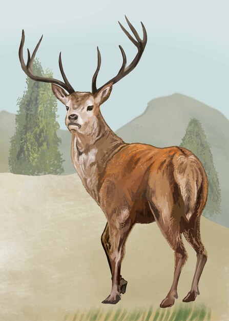 Cerf dessiné à la main