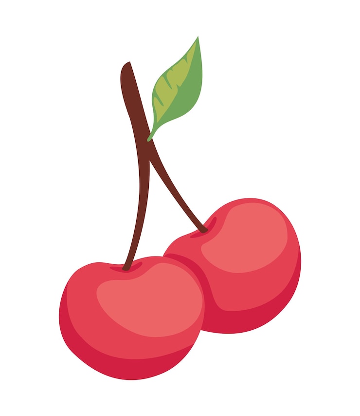 Vecteur gratuit cerise aux fruits avec dessin d'icône de feuille isolée