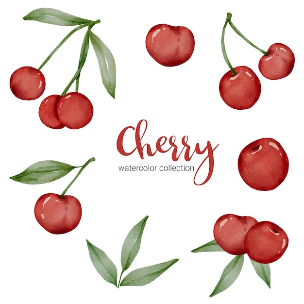 Cerise dans la collection aquarelle avec fruits et feuilles avec branche