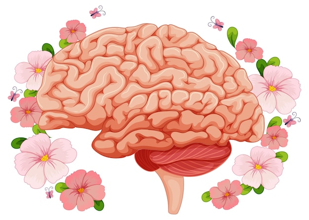 Vecteur gratuit cerveau humain avec des fleurs roses autour