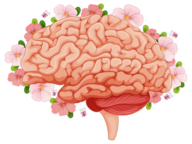 Vecteur gratuit cerveau humain avec des fleurs roses