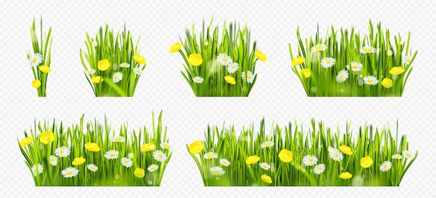 Champ d'herbe verte de printemps réaliste avec des fleurs