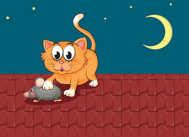 Un chat et un rat sur le toit