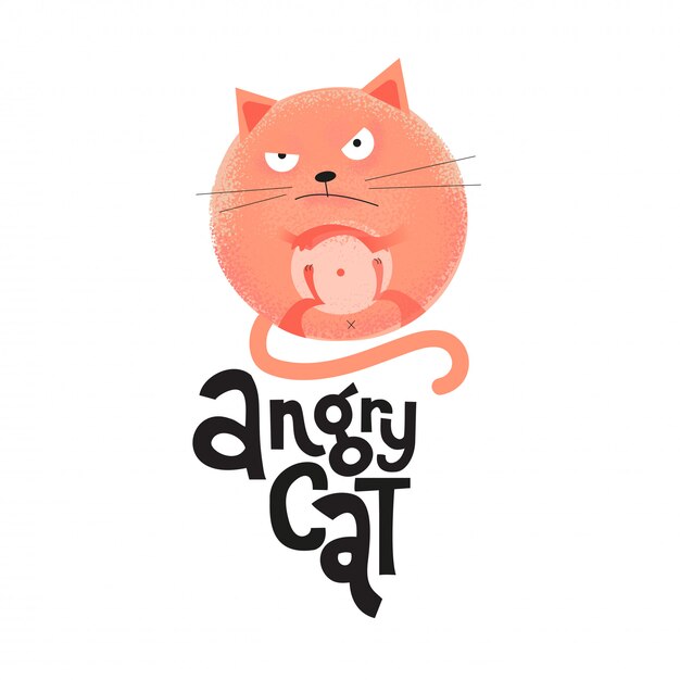 Images Chat Fache Vecteurs Photos Et Psd Gratuits