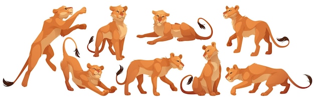 Vecteur gratuit chat sauvage de caractère lionne dans différentes poses