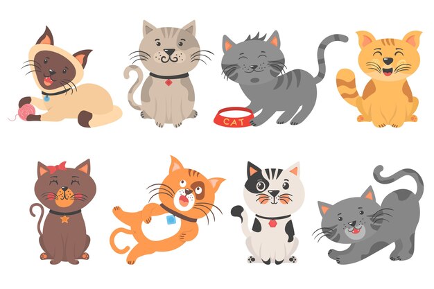 Illustration De Chat Mignon Assis Sur Fond Blanc Vecteur Premium
