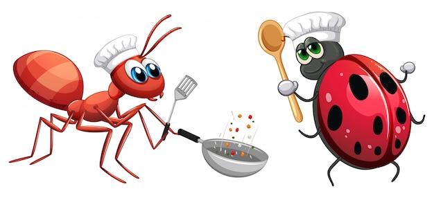 Vecteur gratuit chef d'insectes cuisiner des aliments