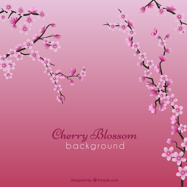 Cherry blossom fond