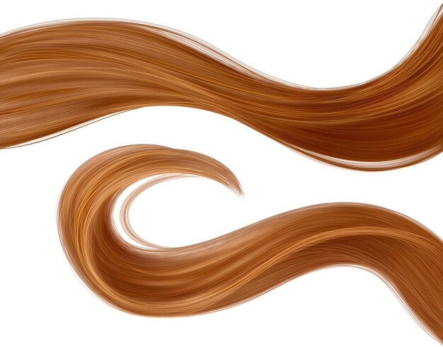 Les cheveux bruns longs ondulés de la femme sont verrouillés.