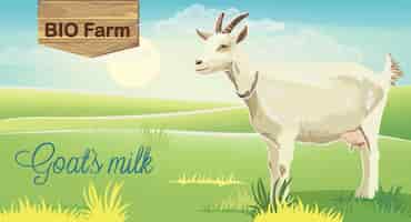 Vecteur gratuit chèvre sur prairie avec lever de soleil en arrière-plan. lait de ferme bio. réaliste.