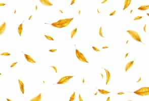 Vecteur gratuit chute de fond de feuilles d'automne volantes. feuille jaune automne réaliste isolé sur fond blanc. fond de vente d'automne. illustration vectorielle