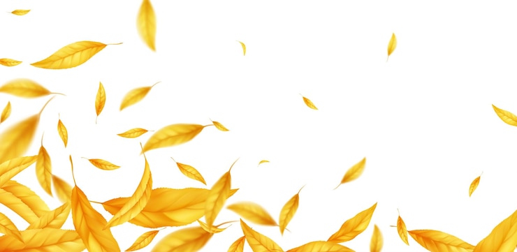 Vecteur gratuit chute de fond de feuilles d'automne volantes. feuille jaune automne réaliste isolé sur fond blanc. fond de vente d'automne. illustration vectorielle