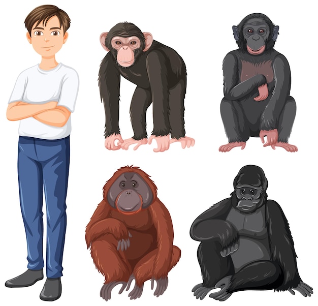 Vecteur gratuit cinq types différents de grands singes