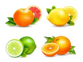Vecteur gratuit citrus fruits 4 realistic icons set