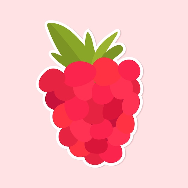 Vecteur gratuit clipart d'autocollant de fruit de framboise coloré de vecteur