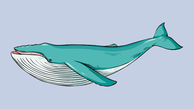 Clipart de dessin animé de baleine dessiné main Vintage