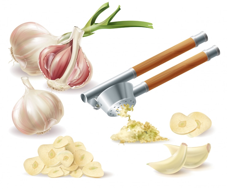 Vecteur gratuit clipart avec tête d&#39;ail germée, gousses épluchées, tranches hachées et presse en métal