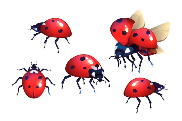 Vecteur gratuit coccinelles avec des taches rouges et noires