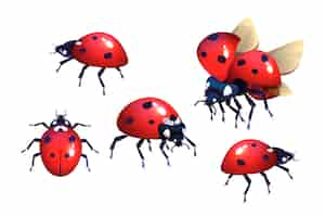 Vecteur gratuit coccinelles avec des taches rouges et noires