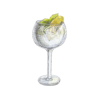 Cocktail gin tonic avec une tranche de citron ou de citron vert et des feuilles de menthe. illustration de couleur de vecteur d'éclosion vintage. isolé sur fond blanc