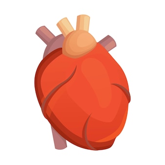 Coeur science médicale vector illustration anatomie humaine plate