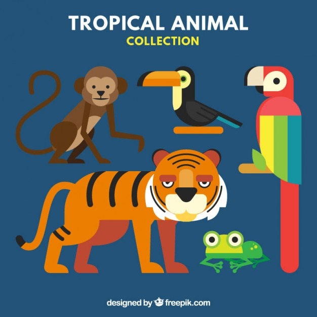 La Collecte Des Animaux Tropicaux