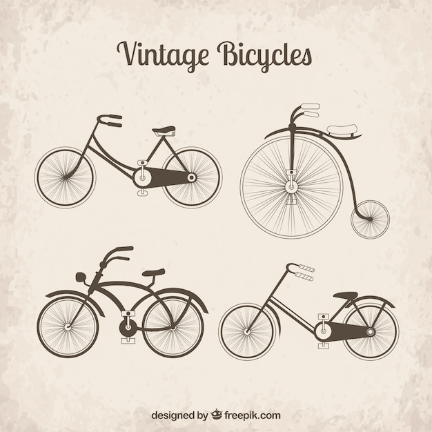 La Collecte De Vélos Vintages