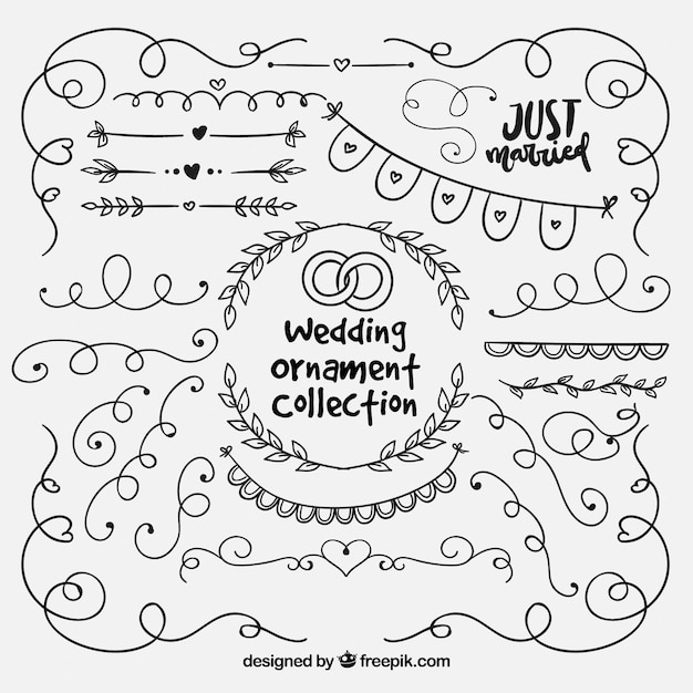 Collectio d'ornement de mariage dessiné à la main
