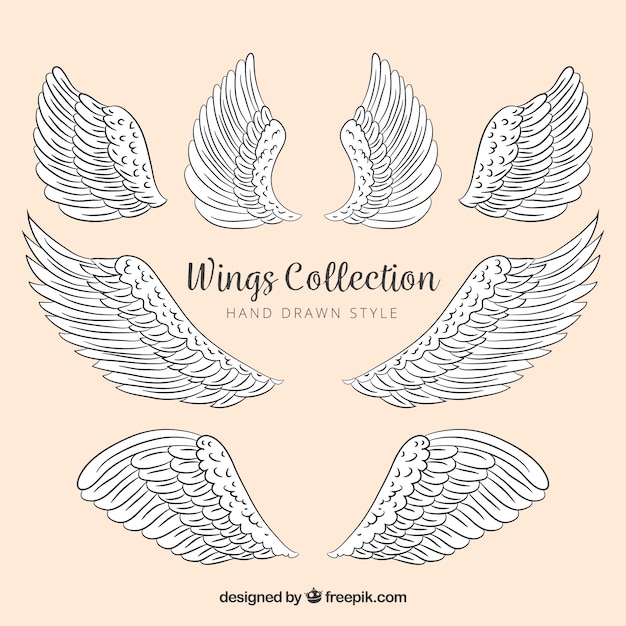 Vecteur gratuit collection d'ailes décoratives dessinées à la main