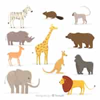 Vecteur gratuit collection d'animal tropical plat