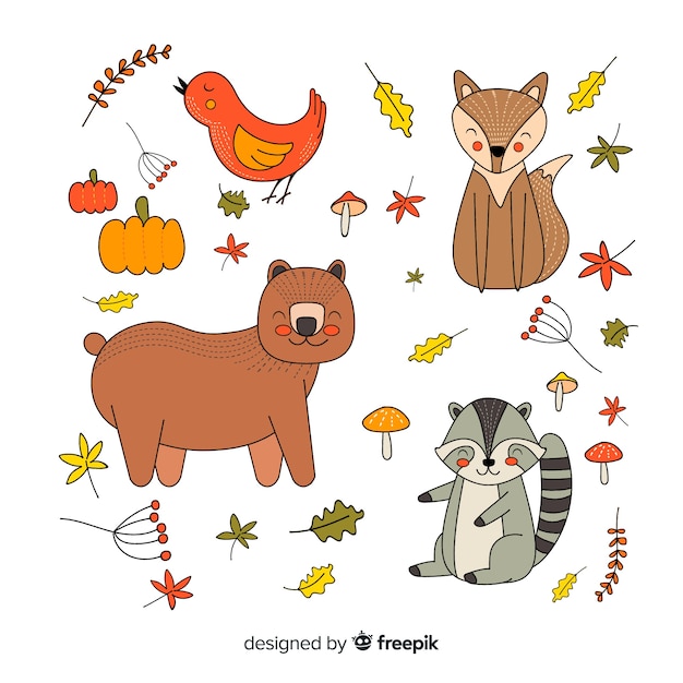 Vecteur gratuit collection d'animaux d'automne dessinés à la main