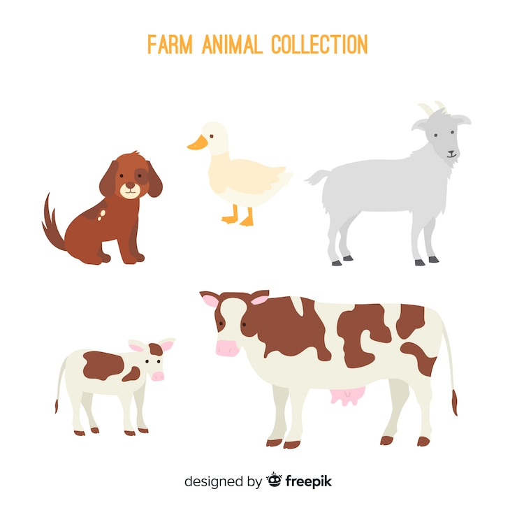 Vecteur gratuit collection d&#39;animaux de la ferme