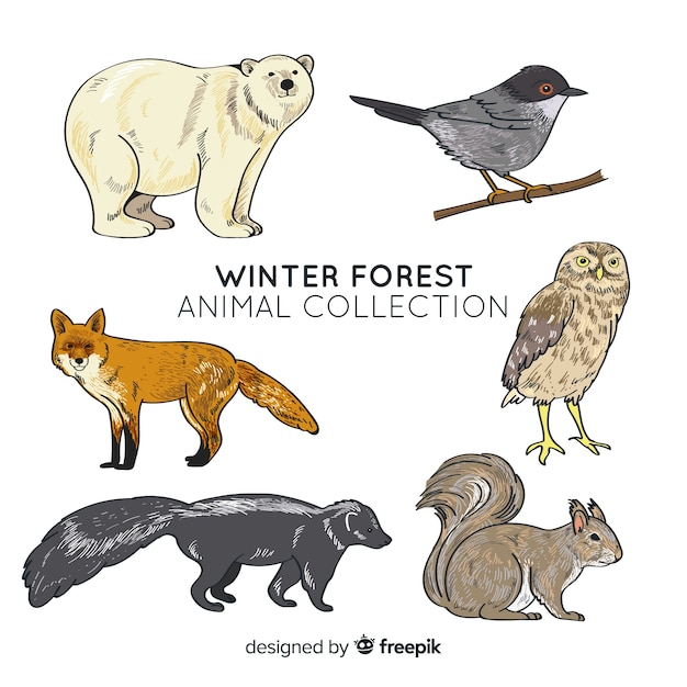 Collection d&#39;animaux forestiers d&#39;hiver