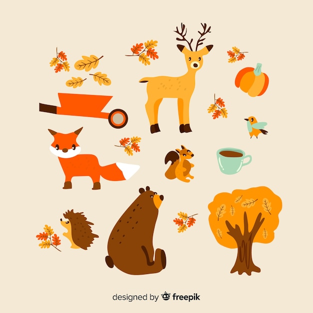 Collection d'animaux de la forêt automne dessinés à la main