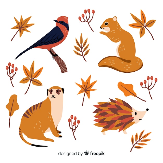 Collection D'animaux De La Forêt Automne Dessinés à La Main