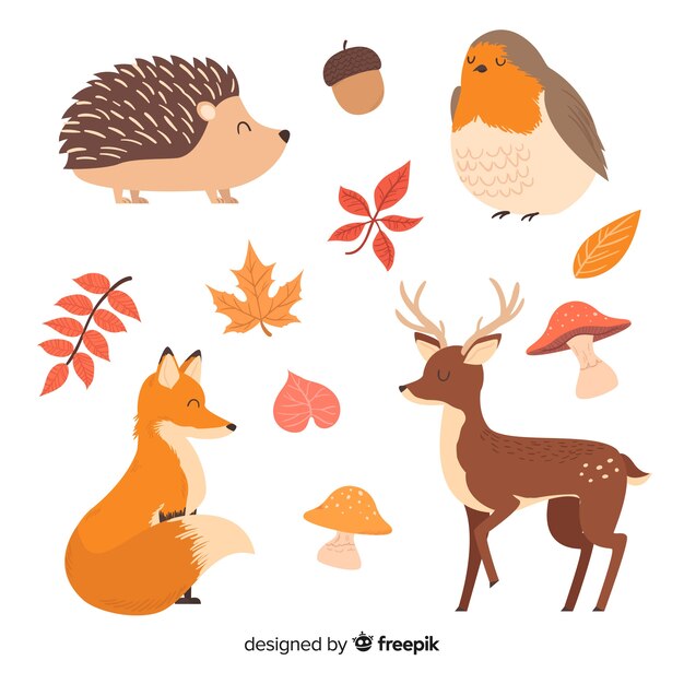 Collection d'animaux de la forêt dessinés à la main
