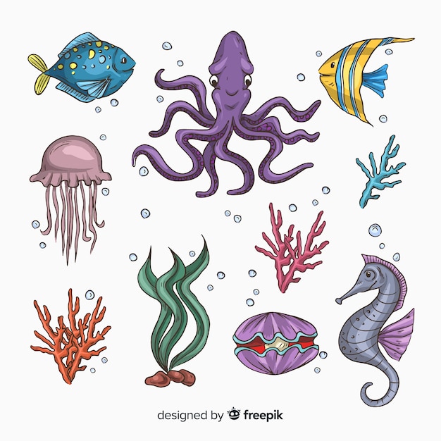 Collection D'animaux De Mer Mignons Dessinés à La Main