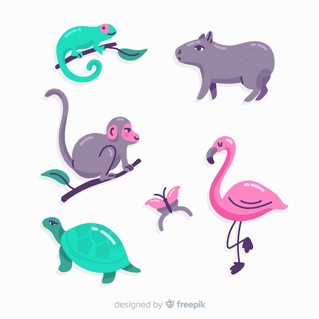 Collection D'animaux Tropicaux Dessinés à La Main