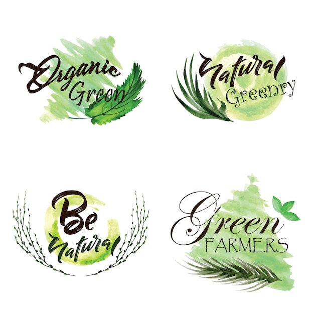 Collection Aquarelle de logo de feuilles vertes