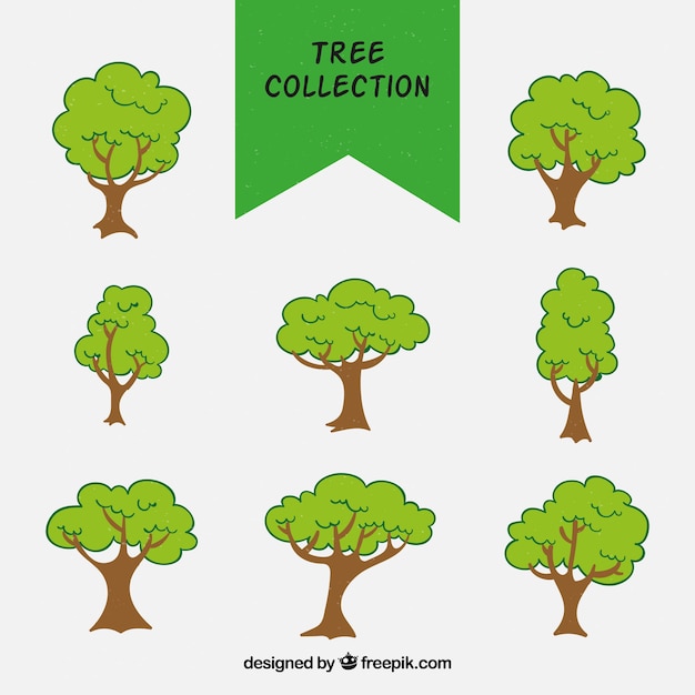 Vecteur gratuit collection d'arbre dessiné à la main