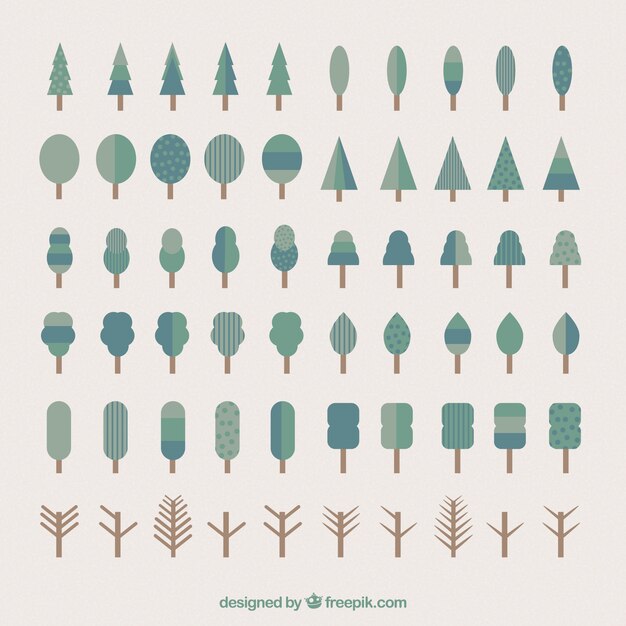 Collection Arbre