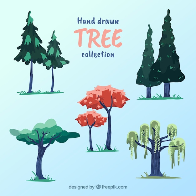 Collection d&#39;arbres dans un style dessiné à la main