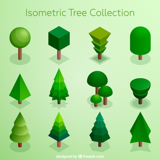 Collection d&#39;arbres dans le style isométrique