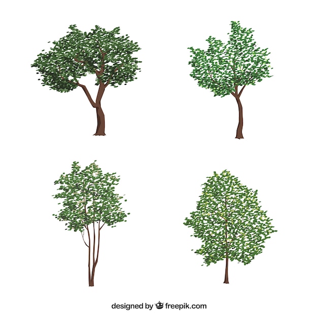 Collection D'arbres Dans Un Style Réaliste